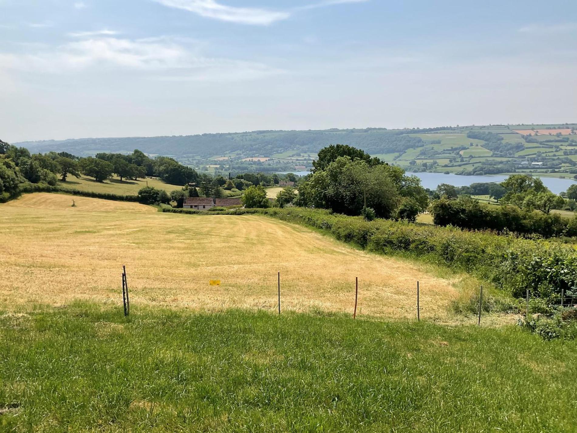 2 Bed In Cheddar Tforg Villa Butcombe Eksteriør billede